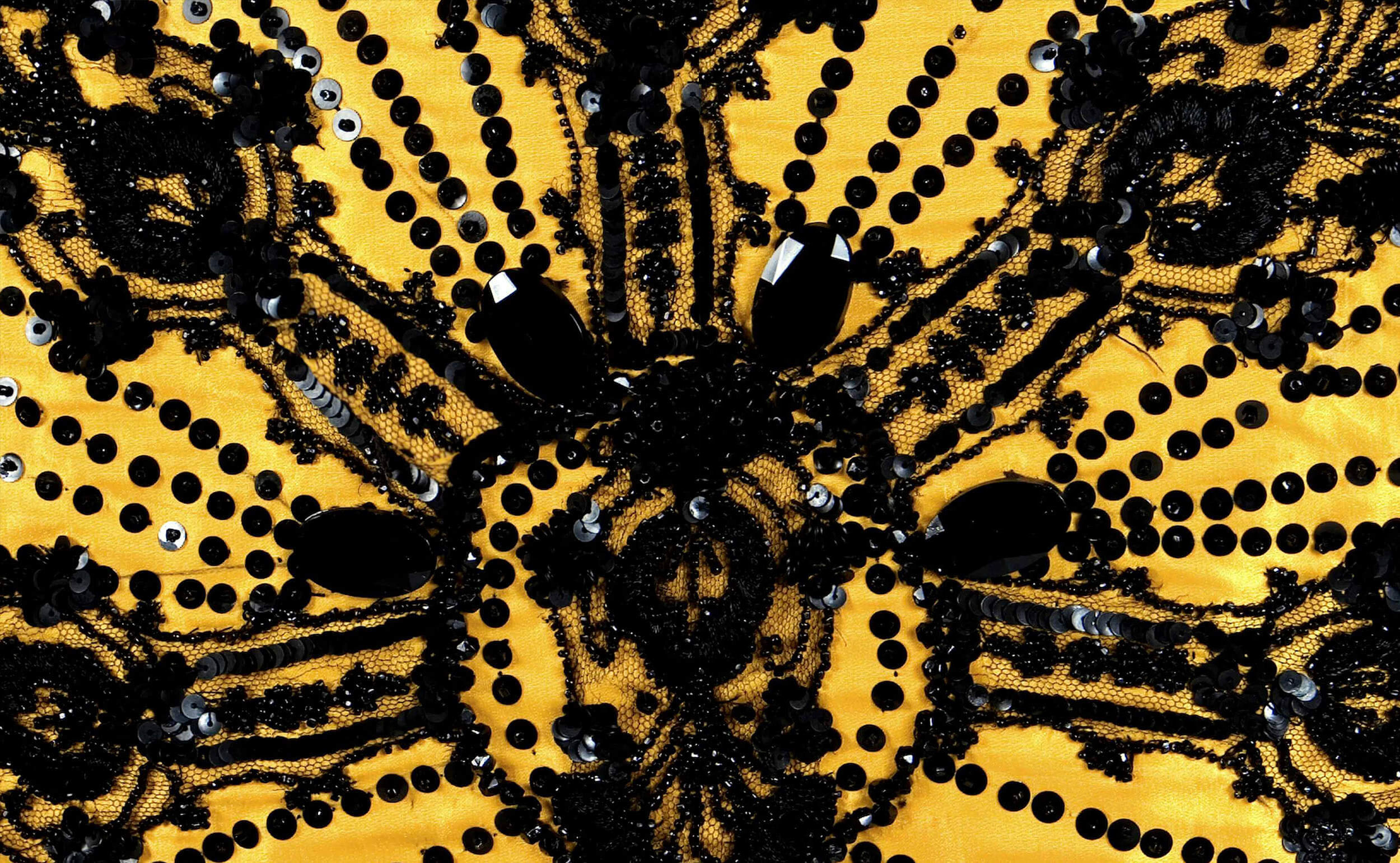 Miguel de Molina — beaded stage costume detail