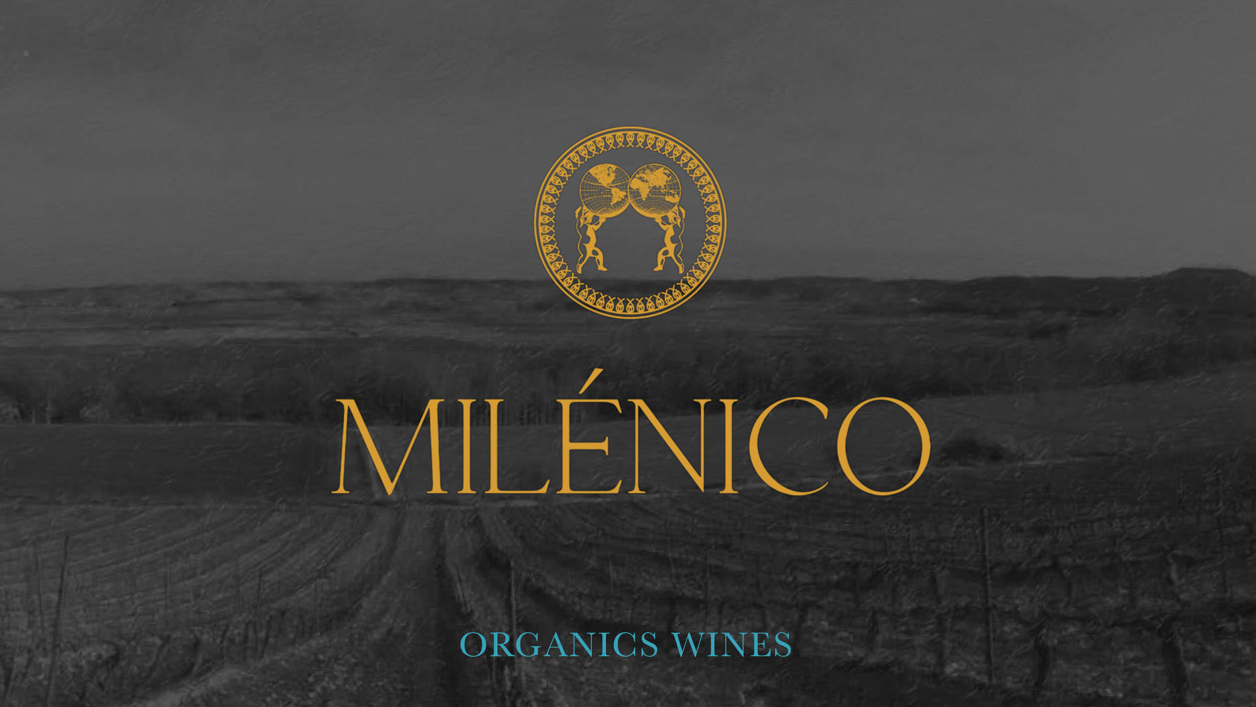 Bodegas Milénico — wine label and bottle detail