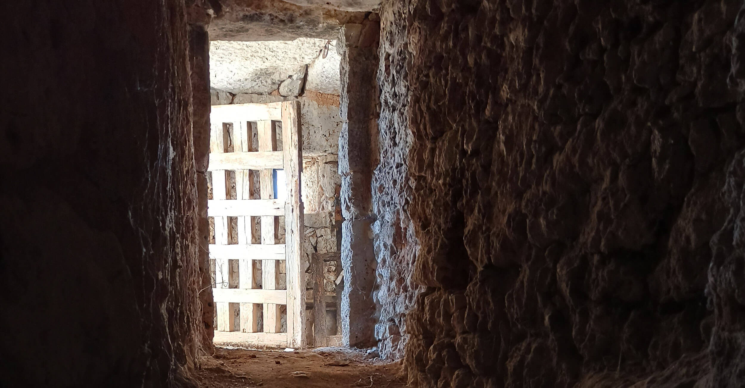 Underground cellar passage leading to a traditional wooden door